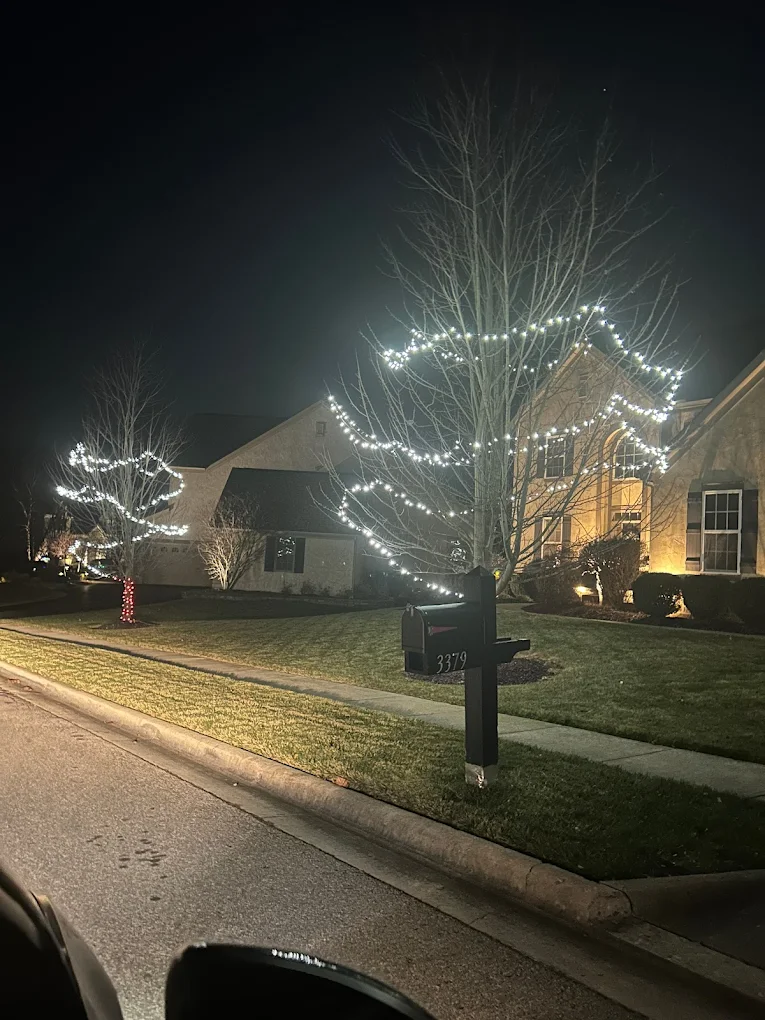 christmas-light-installation-near-me-1