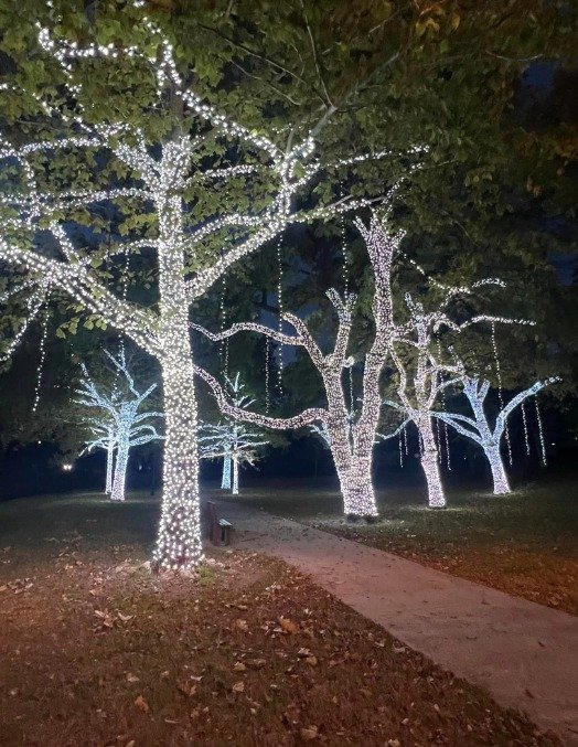 holiday-light-installation-near-me-4