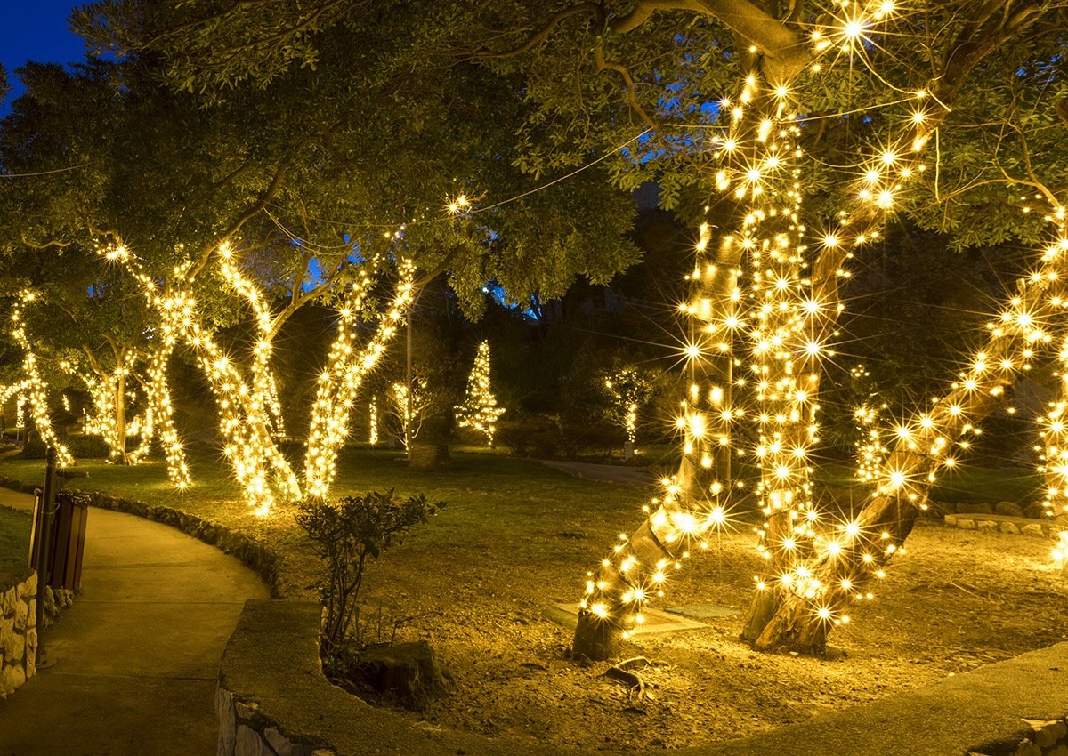 christmasy decorated trees